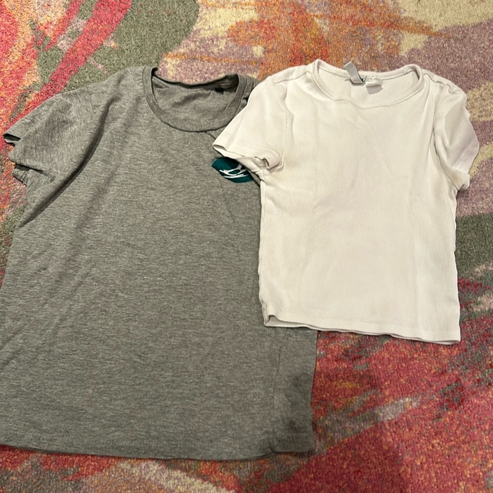 Gray top with a bird design and a white crop top